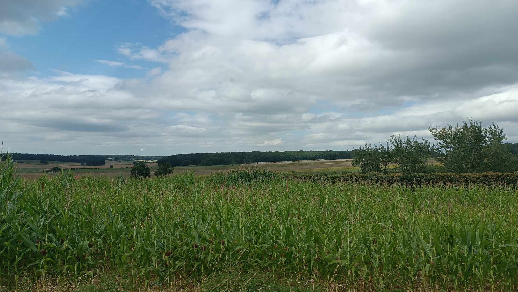 Point de vue à Vauchonvilliers 0