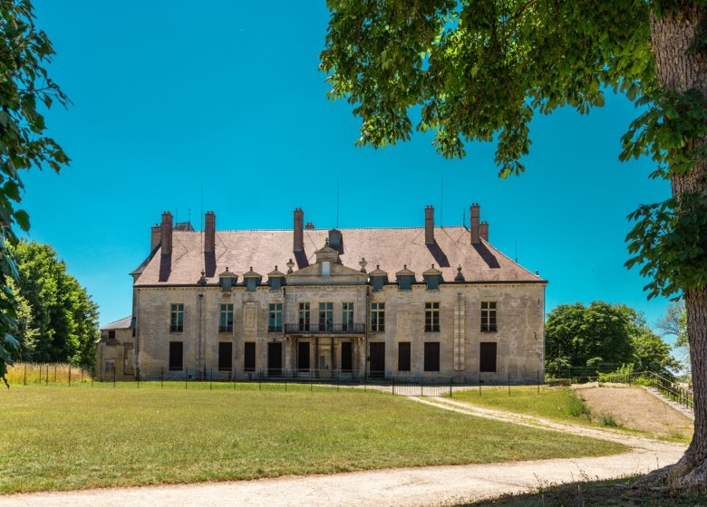 828152_chateau_de_vendeuvre-sur-barse_-__studio_og